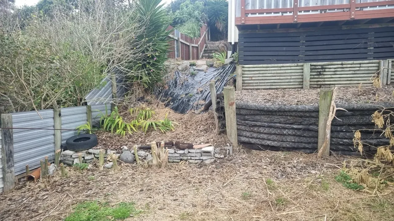 Before garden tidy-up in Taranaki - overgrown area ready for maintenance